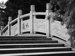 -小洲村