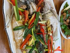 -柘林湖生态鱼馆