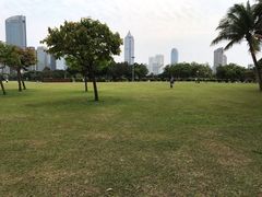 景点-万绿园