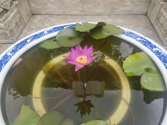 -龙华素斋(龙华路店)