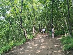 -灵岩山风景区