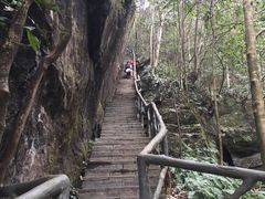 -石台牯牛降景区