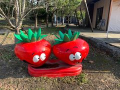 -上海杨姆庄园