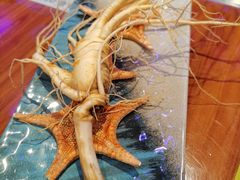 -千岛蚝高压锅生蚝·人参火锅(白云万达店)