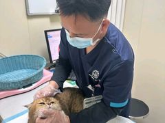 -纳吉亚猫专科动物医院博雅分院