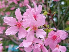 -文华公园(禅城区)