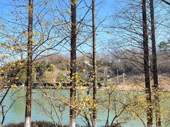 -南京珍珠泉风景区