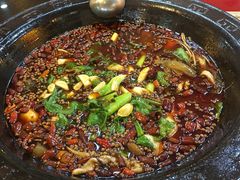 肥肠鱼-烧哥美蛙肥肠鱼火锅·十五年社区店