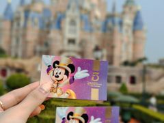 -上海迪士尼度假区