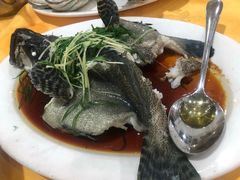 -蚝专家(北滘店)