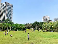-东风公园