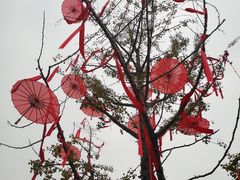 -武汉园博园(武汉自然博物馆)