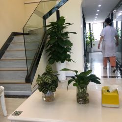 点击看大图 -苗医生草本科技祛痘