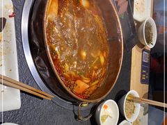 -蓉客成都火锅·招牌麻辣牛杂·特色香辣蹄花(凌水店)