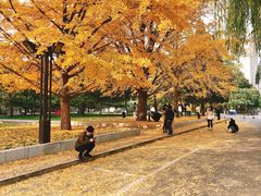 -中央民族大学