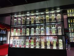 -广东中医药博物馆