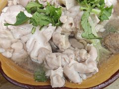 -小杨翘脚牛肉