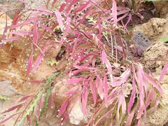 -南通洲际绿博园