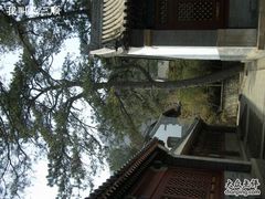 -北京鹫峰国家森林公园