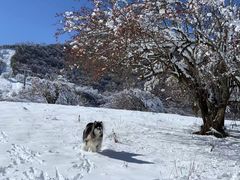 -太子岭滑雪场