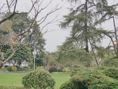 -浙江西子宾馆·牡丹厅
