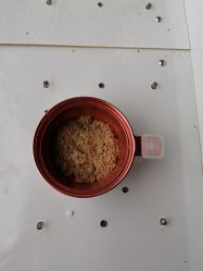 -苗塑堂减肥·艾灸