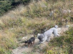 -白草畔自然风景区