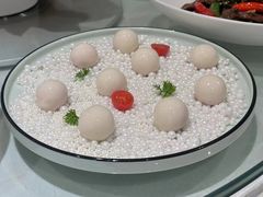 -白云中餐厅·粤菜·亚龙湾喜来登度假酒店