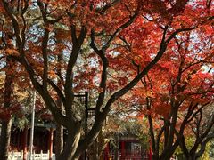 -青岛海滨风景区