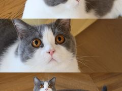 -Me Coffee下午茶艺术空间