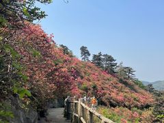 -木兰云雾山
