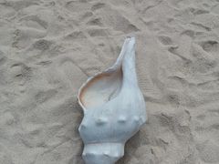 -仙海旅游度假区