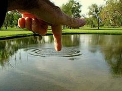 -1点点(同曦假日百货店)