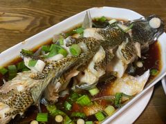 清蒸鲈鱼-沈记菜馆(酒仙桥路店)