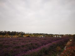 -嘉北郊野公园