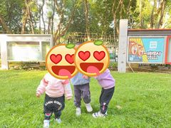 -金点蒙氏国际教育(悠然校区)