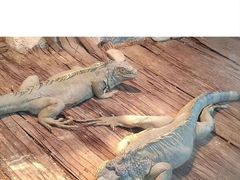 -御轩足道·SPA·养生·保健(瑞金北路店)