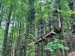 -山王坪喀斯特国家生态公园