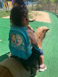 -萌宠亲子动物乐园(槐房万达店)