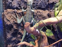 -荆州中山公园动物园