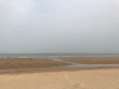 -日照海滨国家森林公园