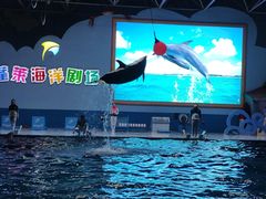 -蓬莱欧乐堡海洋极地世界