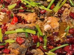 -老板恋上鱼(印象城店)