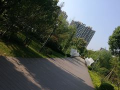 -南翔镇银翔湖公园