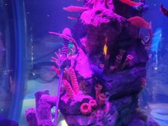 -沈阳海洋探索中心