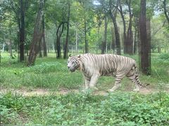 -秦皇岛野生动物园