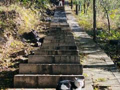 -北京十三陵国家森林公园蟒山景区