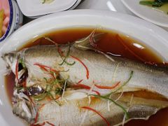 -丹水桥地锅鱼·翘嘴鲌·地方特色全鱼宴(丹江口大坝店)