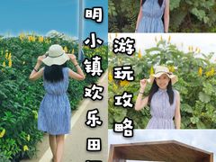 -光明小镇欢乐田园