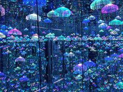 -深圳独角兽星空艺术馆